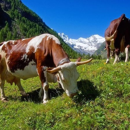 La Dzenta Meizon Villeneuve Bagian luar foto